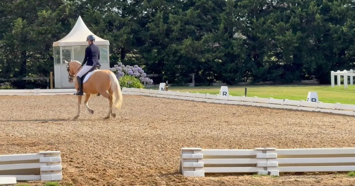 Carrière de dressage avec sa lice blanche basse et l’abri des juges